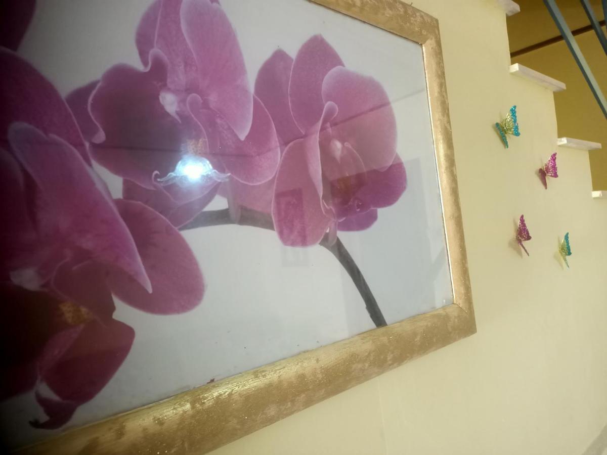 Casa Sole Villa Vetralla Bagian luar foto